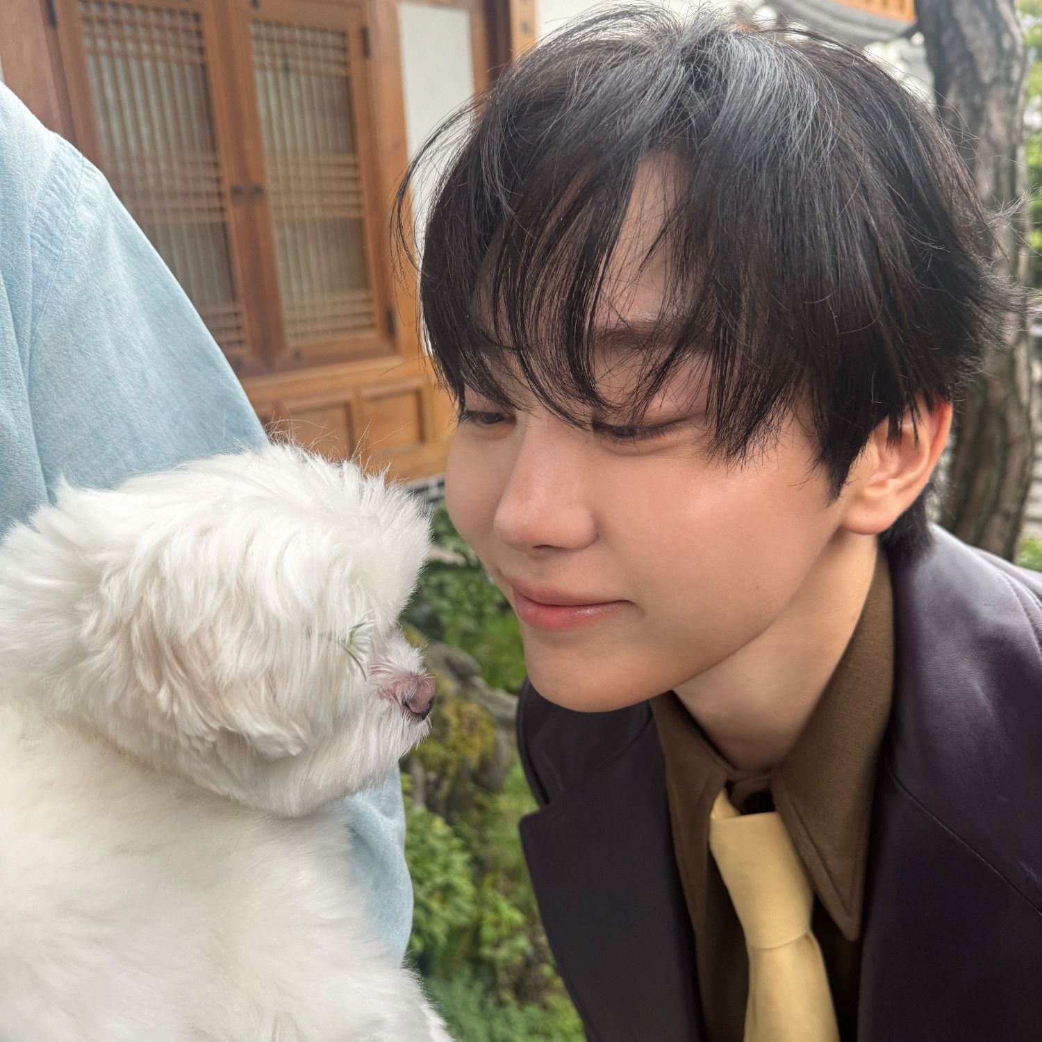 Recent activity shot of Seungkwan (SEVENTEEN)