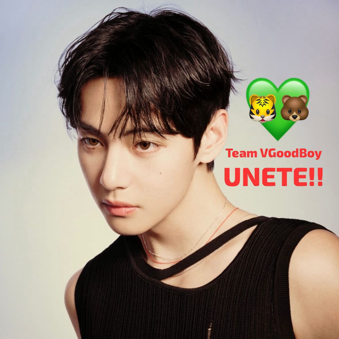 V (BTS)の舞台裏ショット