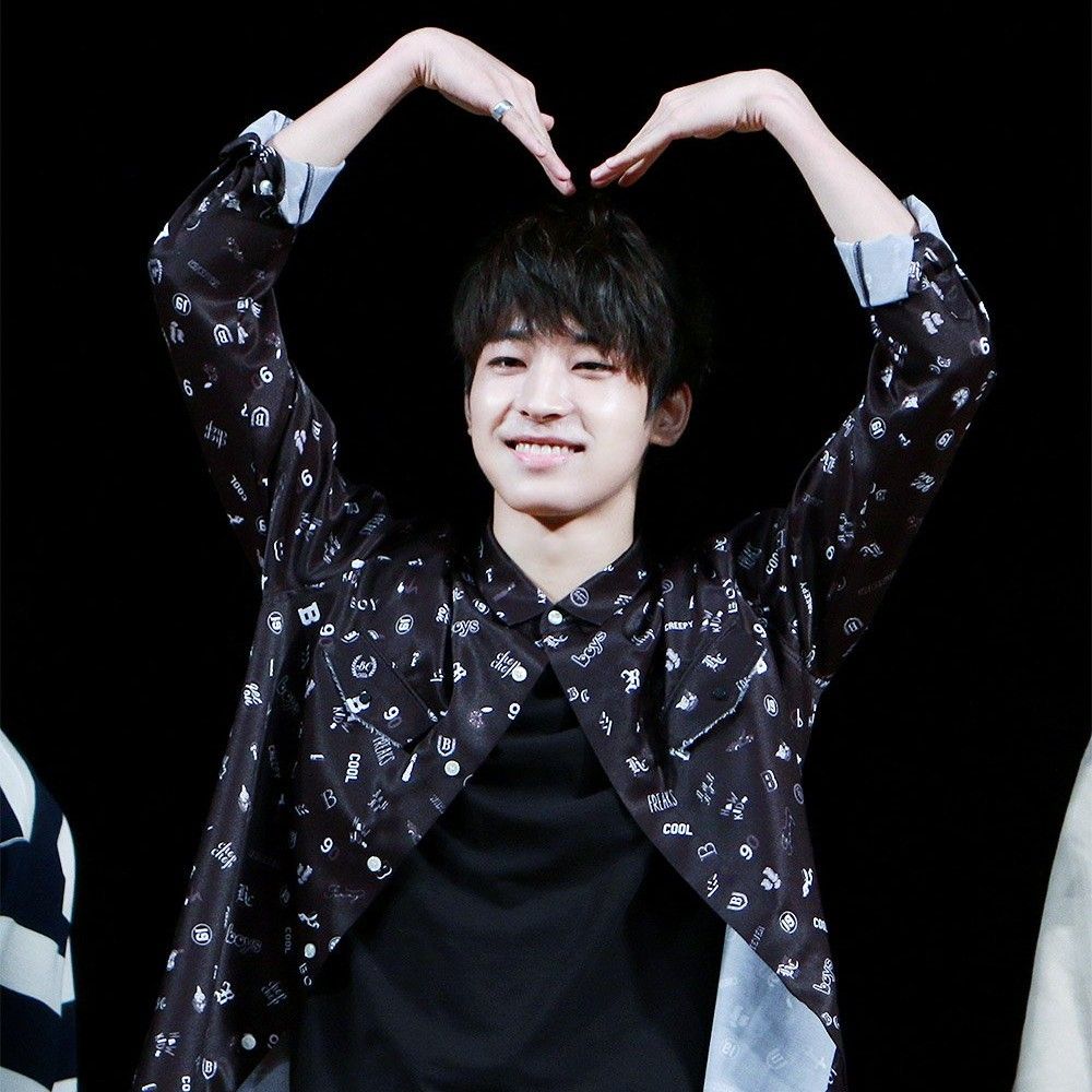 세븐틴 팬이 찍은 순간