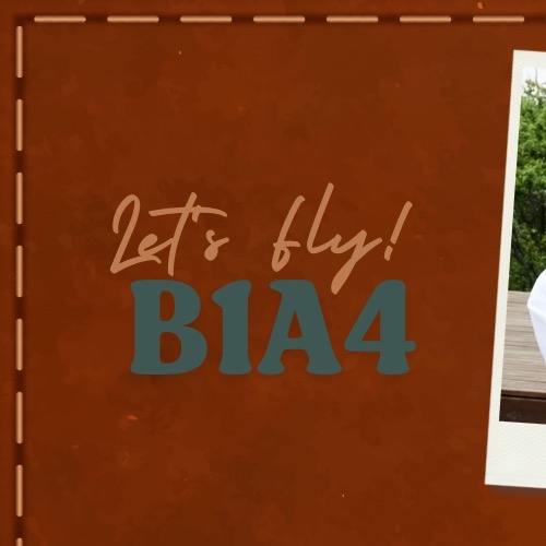 Recent activity shot of B1A4