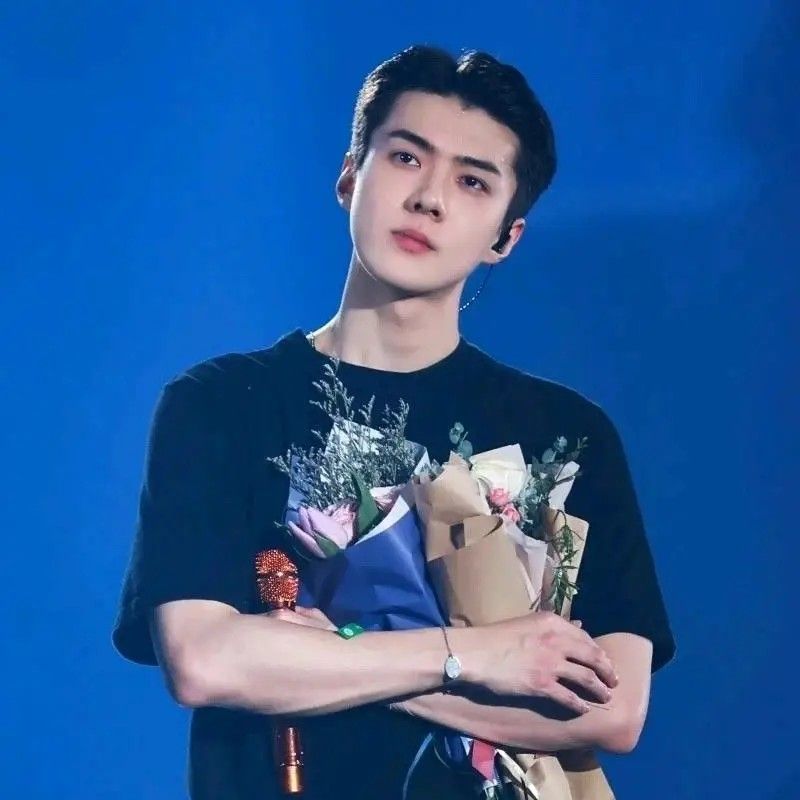 世勳 (EXO)粉絲拍下的瞬間