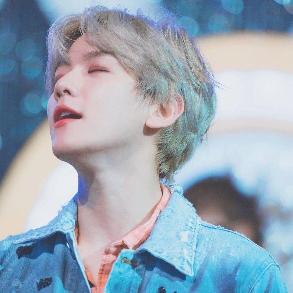 EXO 최근 활동샷