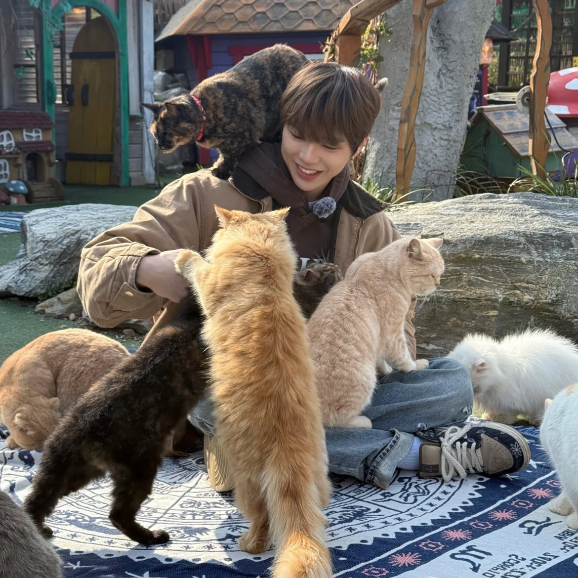 강다니엘 팬이 찍은 순간