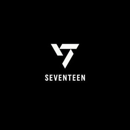 세븐틴 팬이 찍은 순간
