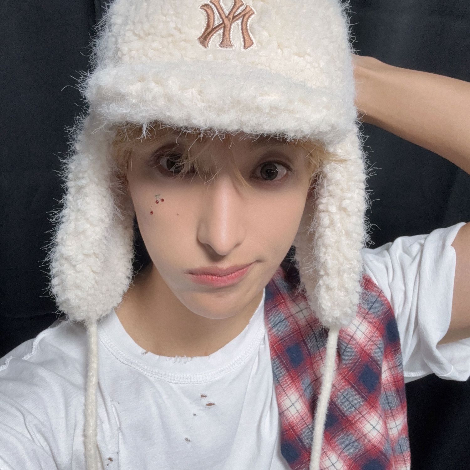 A moment captured by SEVENTEEN's fan