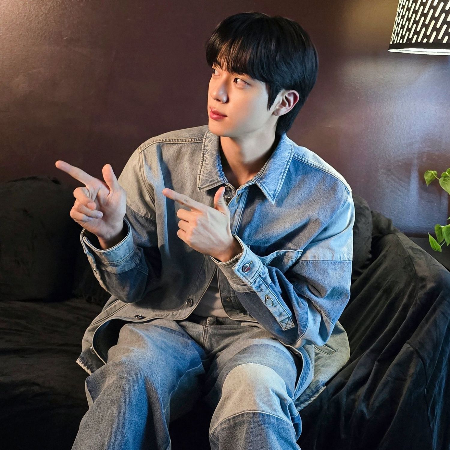 진 (방탄소년단) 팬이 찍은 순간