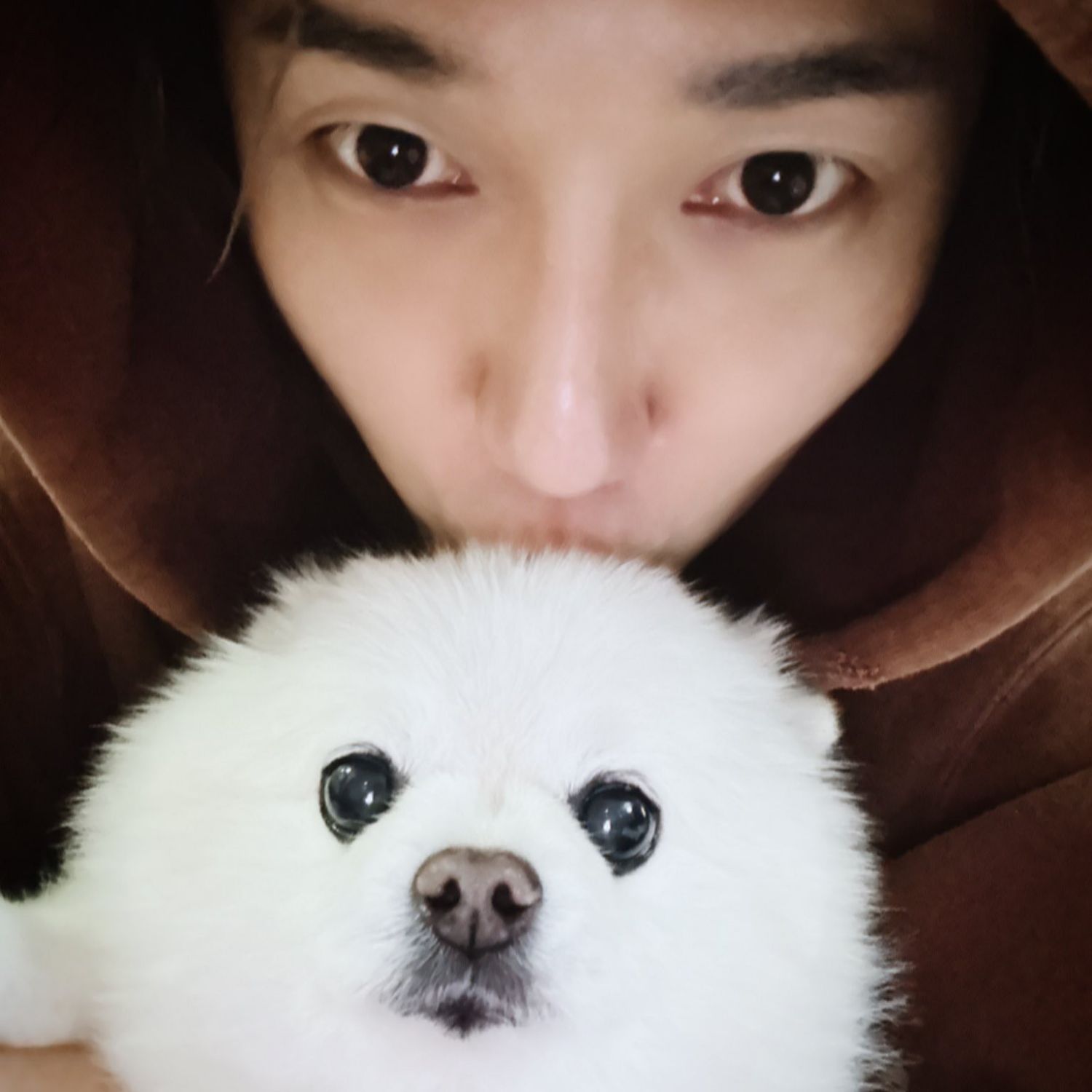 A moment captured by Yesung (Super Junior)'s fan