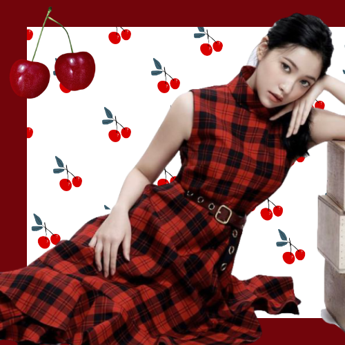 イェリ (Red Velvet)ファンが撮った瞬間