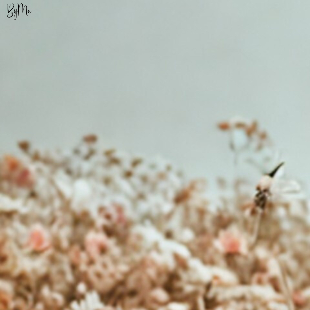 A moment captured by Esther Yu's fan