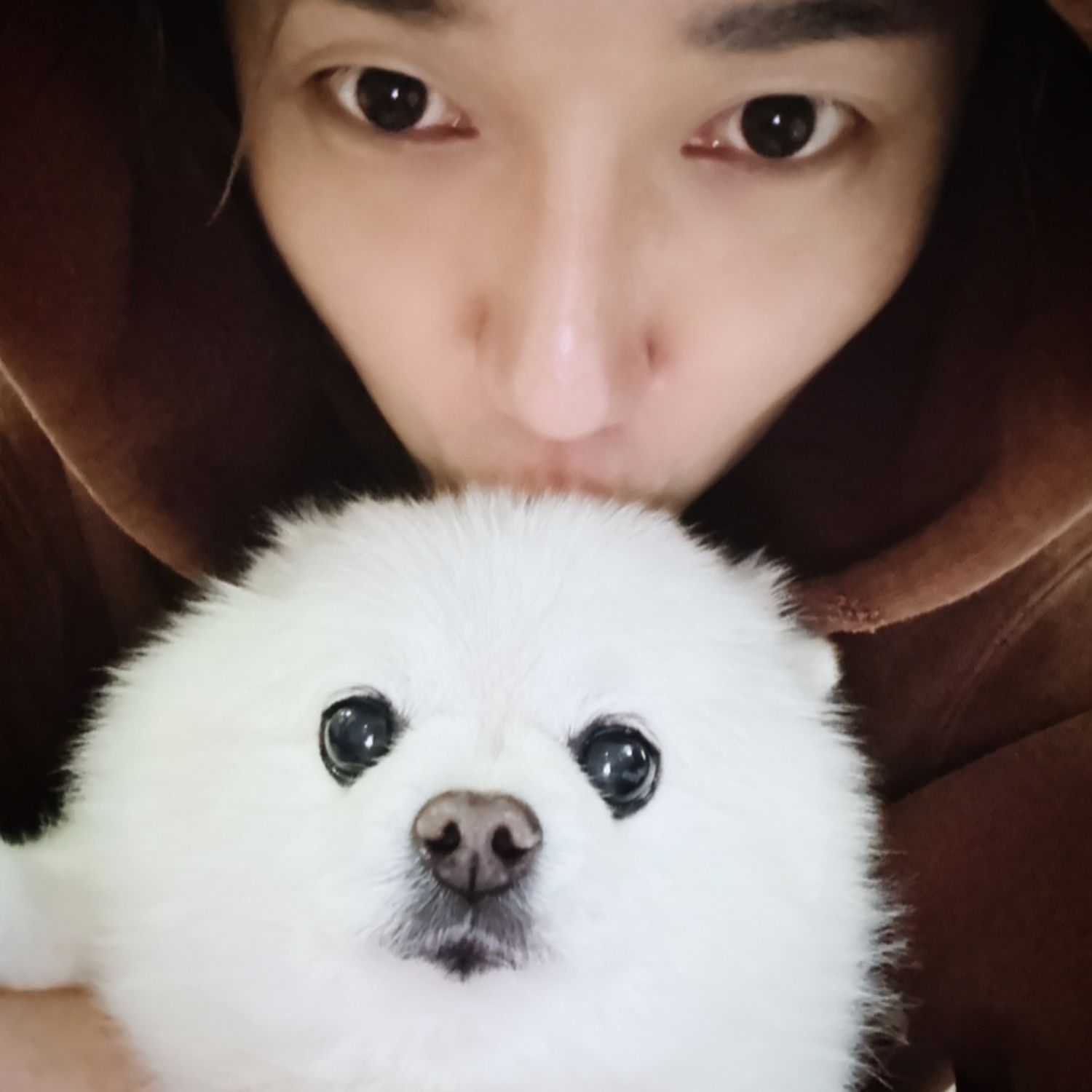 Latest photo of Yesung (Super Junior)