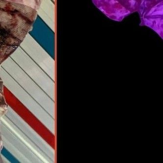 AleXa粉絲拍下的瞬間