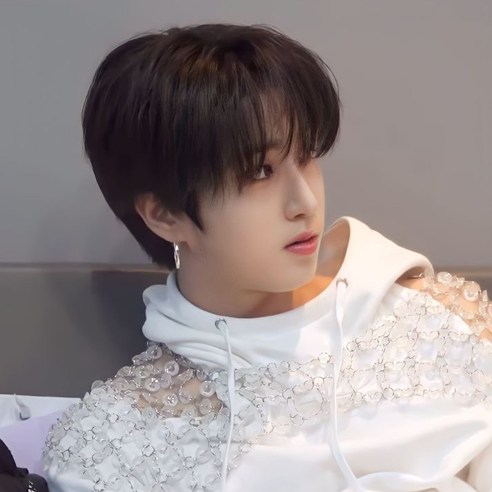 A moment captured by HAN (Stray Kids)'s fan