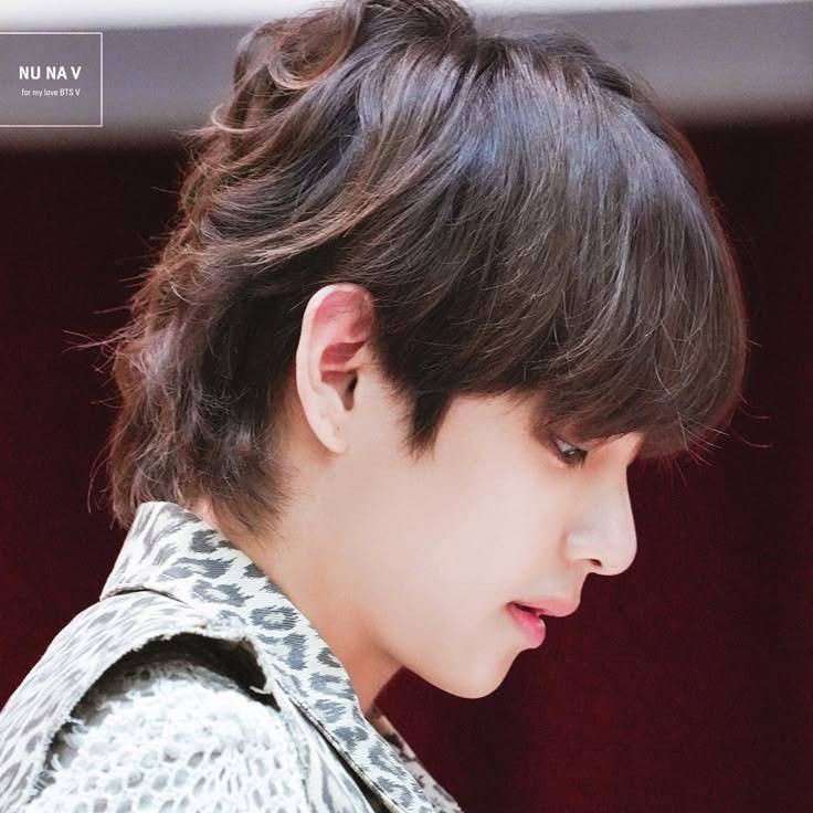 Behind-the-scenes cut of V (BTS)