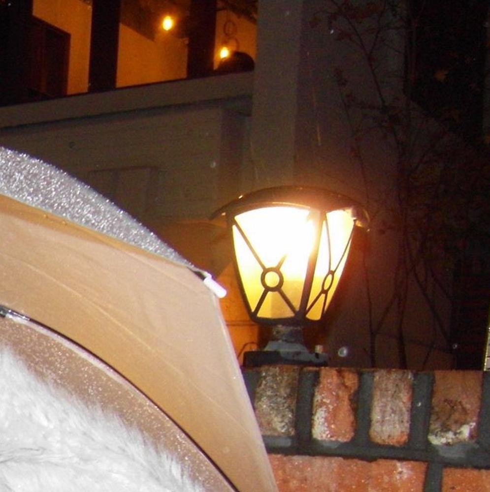 Latest photo of Choerry (ARTMS)