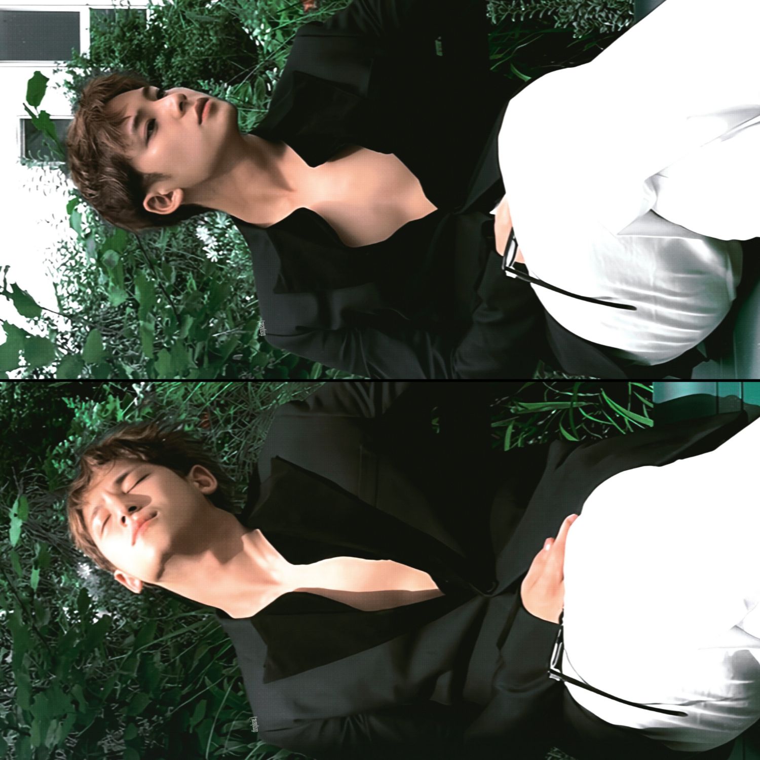 A moment captured by SEVENTEEN's fan