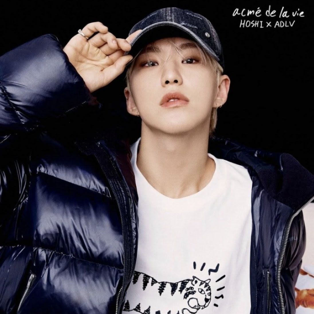 A moment captured by Hoshi (SEVENTEEN)'s fan