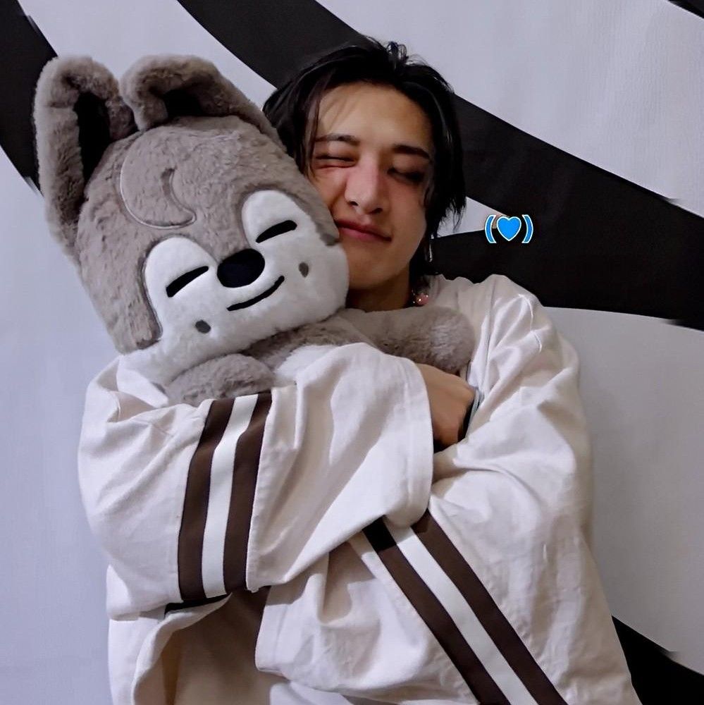 A moment captured by Bang Chan (Stray Kids)'s fan