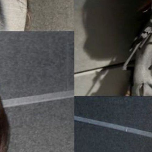 Latest photo of Hyein (NewJeans)
