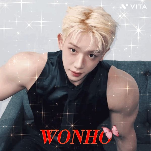 Best moment chosen by Wonho fandom