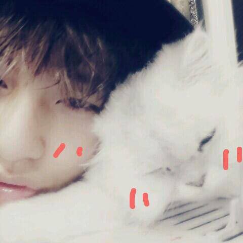 A moment captured by V (BTS)'s fan