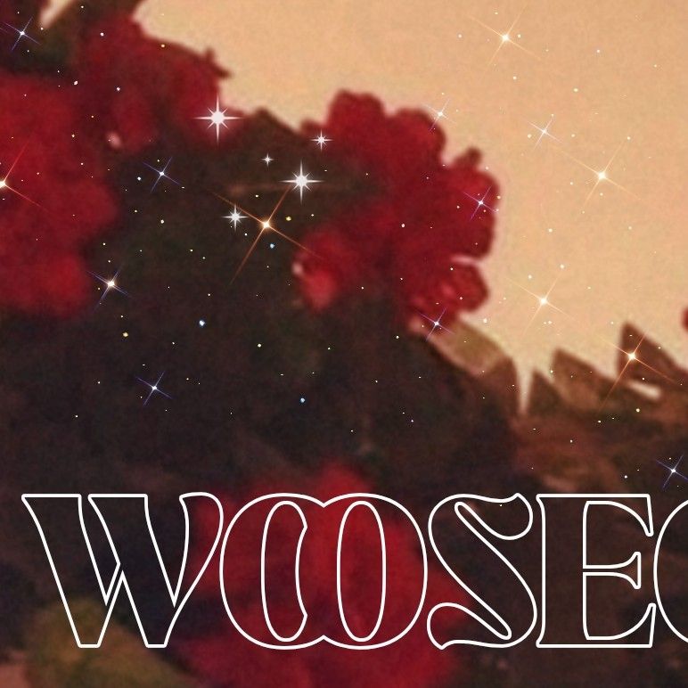 A moment captured by Wooseok (PENTAGON)'s fan