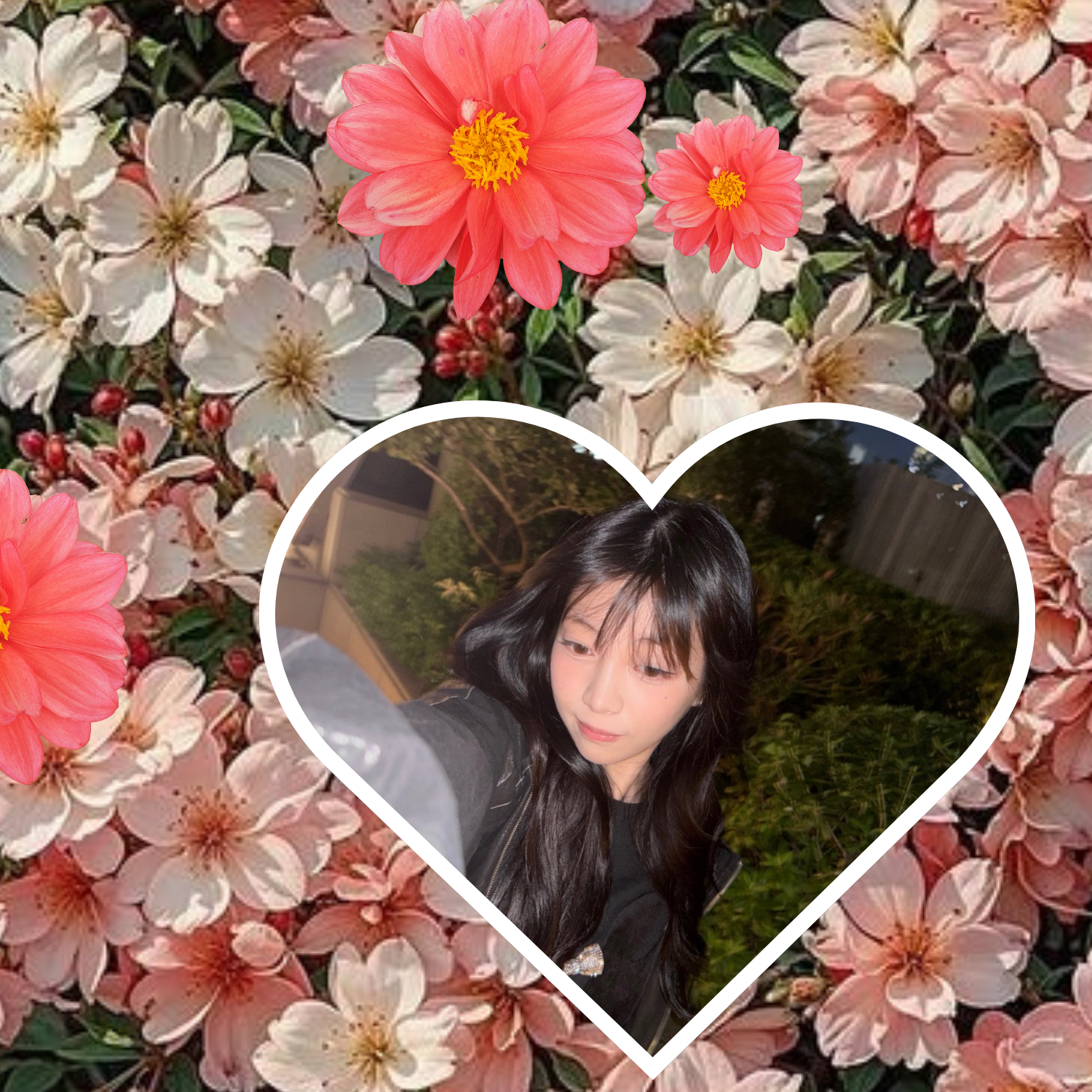 Latest photo of Nana (UNIS)