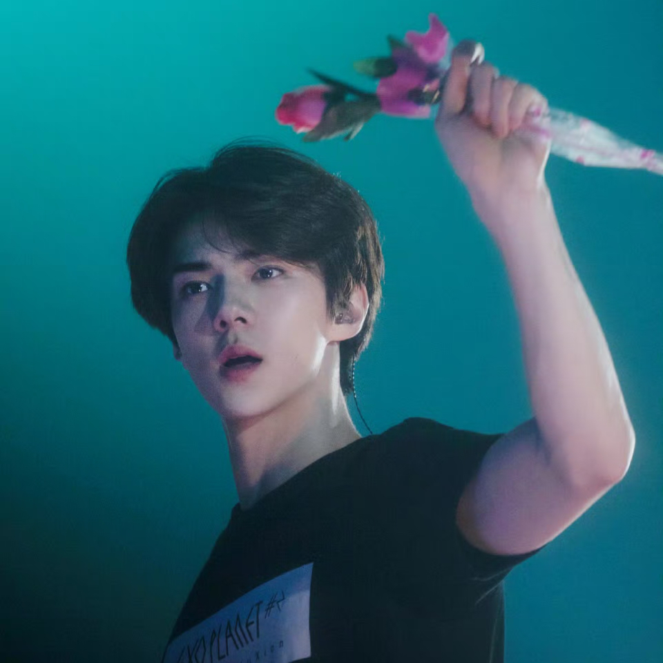 A moment captured by Sehun (EXO)'s fan