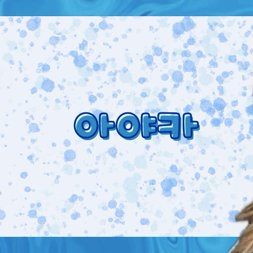 아야카 (NiziU) 최근 활동샷