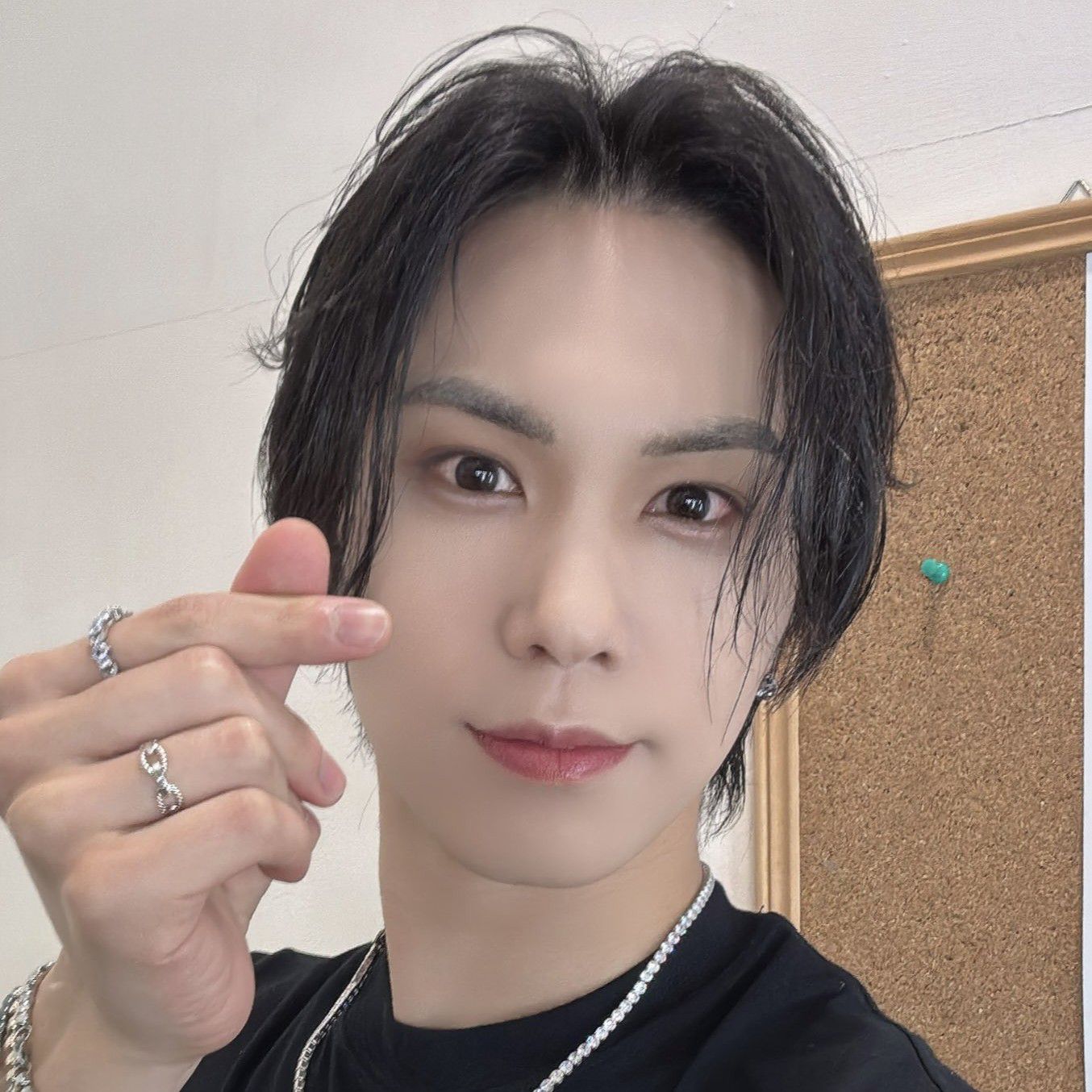 Recent activity shot of Rocky