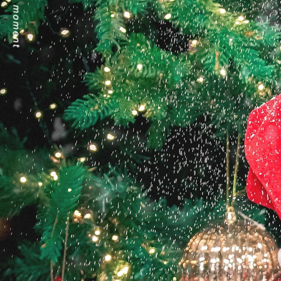 スア (DREAMCATCHER)の最新写真