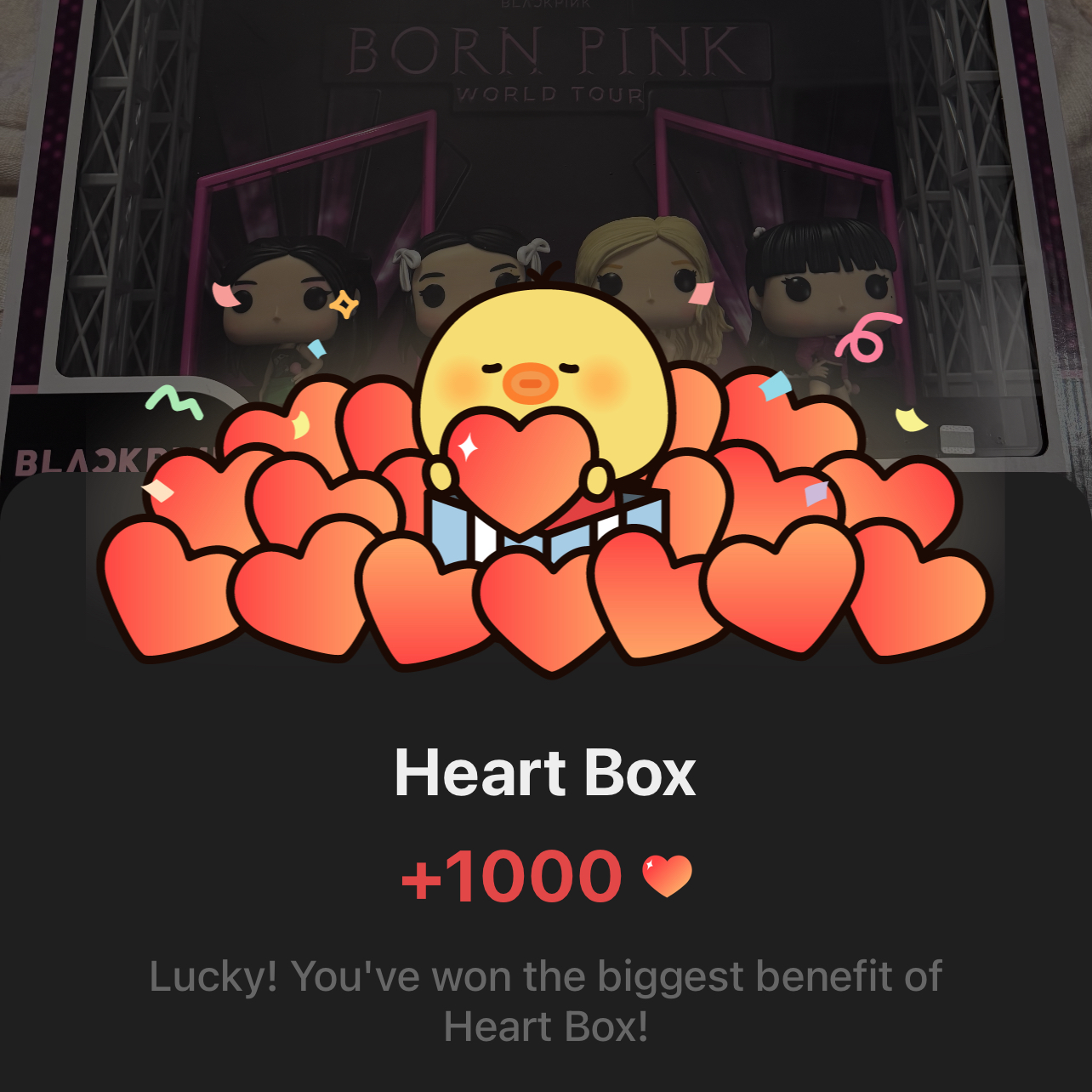 BLACKPINK 팬이 찍은 순간