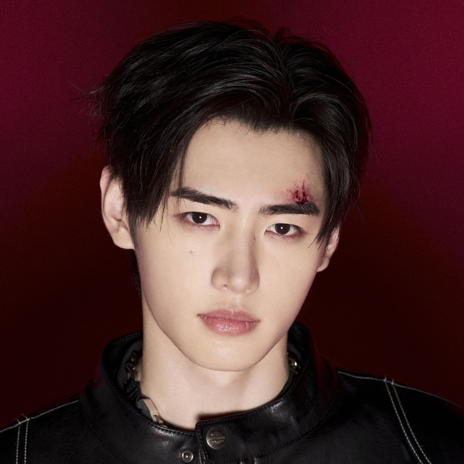 ENHYPEN의 비하인드 컷