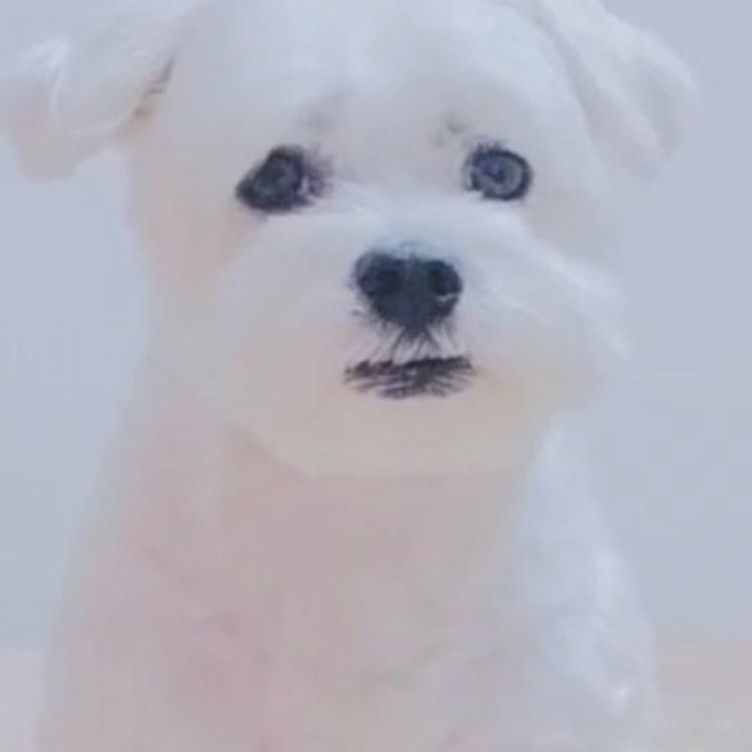 Behind-the-scenes cut of Jungwon (ENHYPEN)