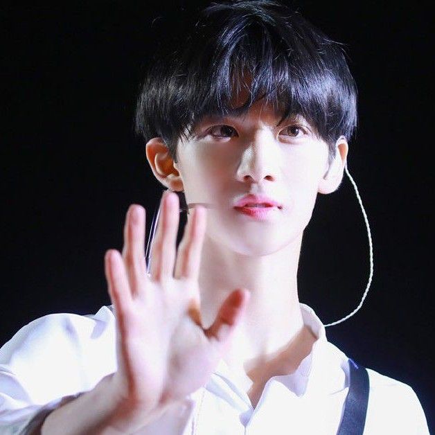 배진영 팬이 찍은 순간