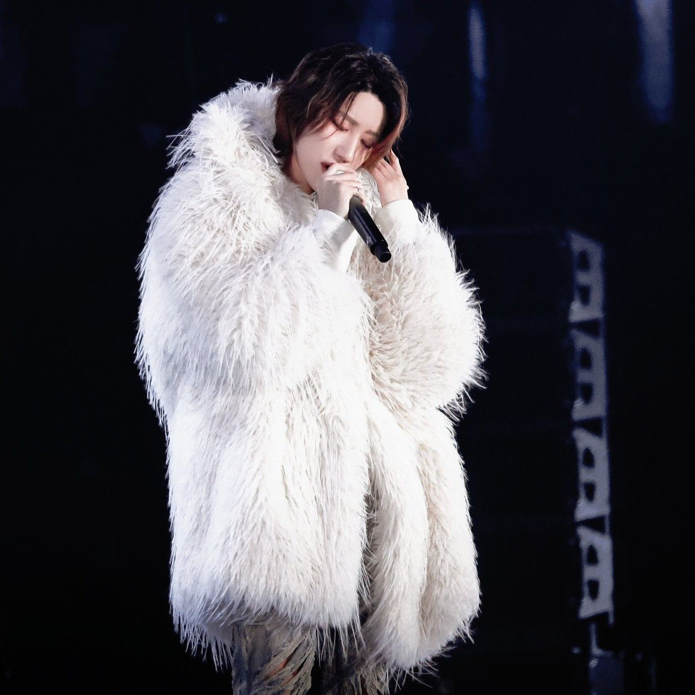 세븐틴의 최신 사진