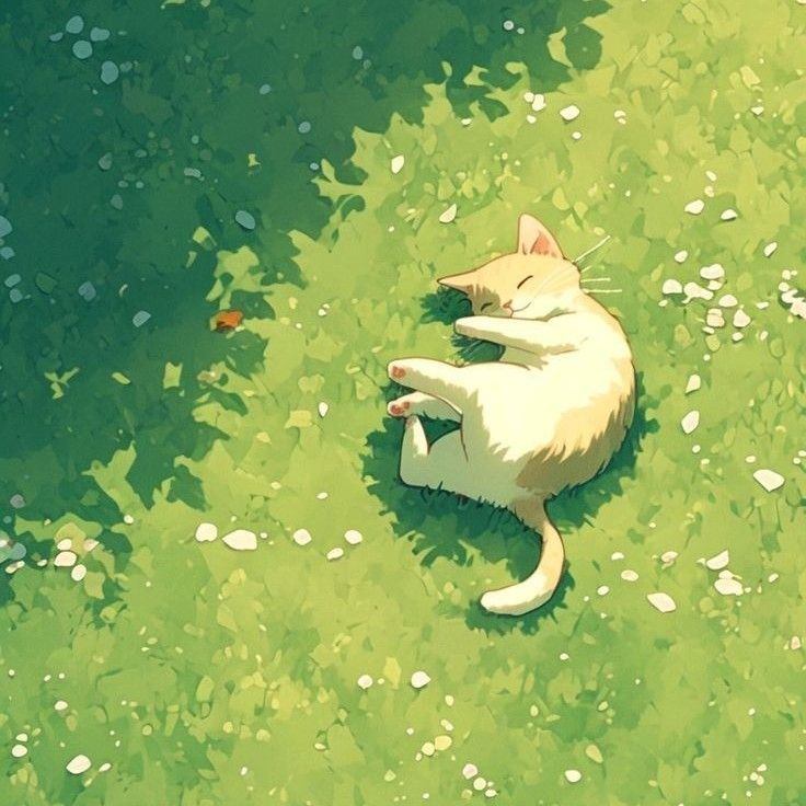 EXO의 최신 사진