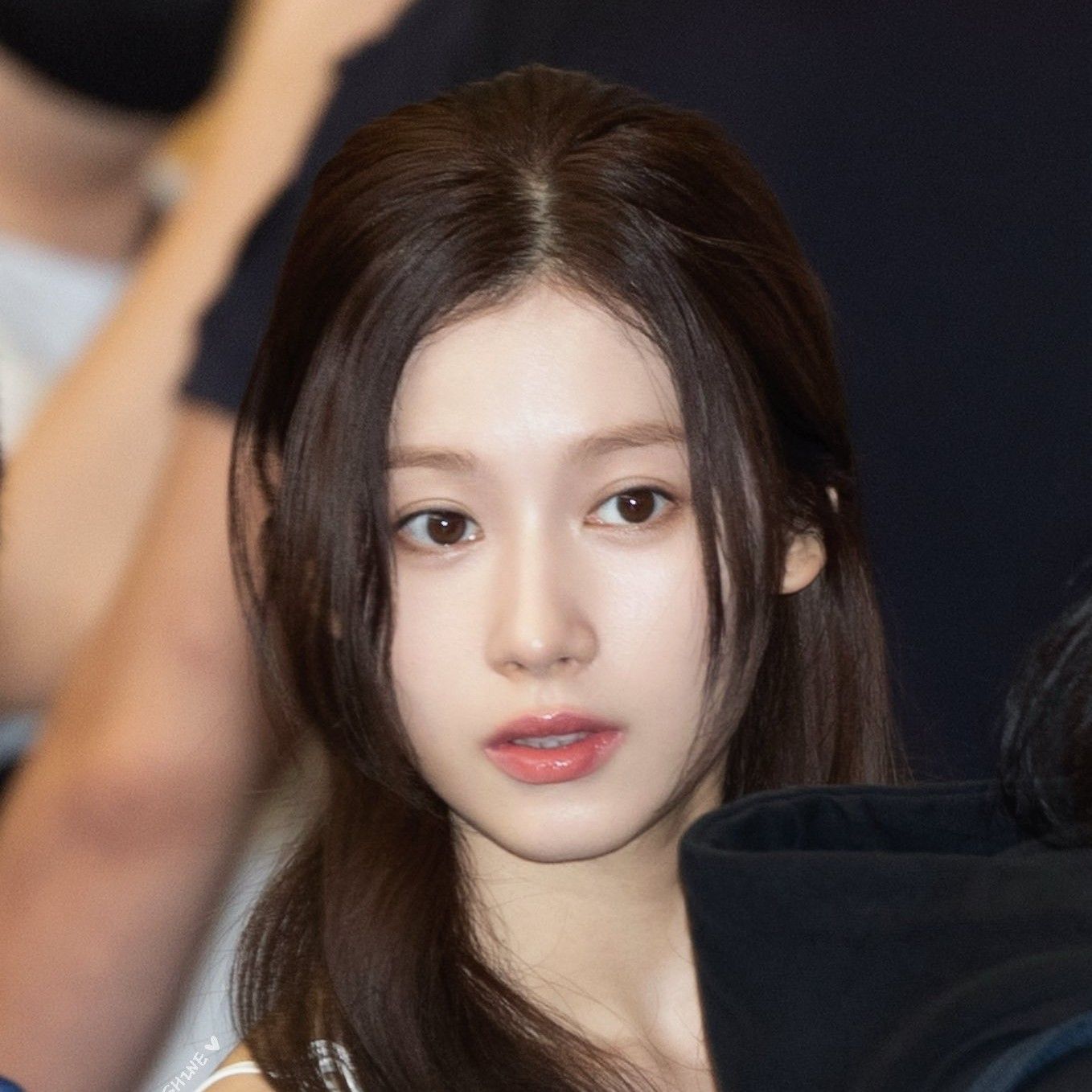 사나 (TWICE) 팬이 찍은 순간