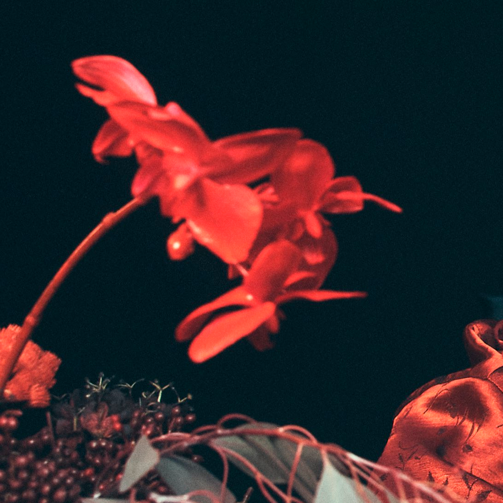 Recent activity shot of Joohoney (MONSTA X)