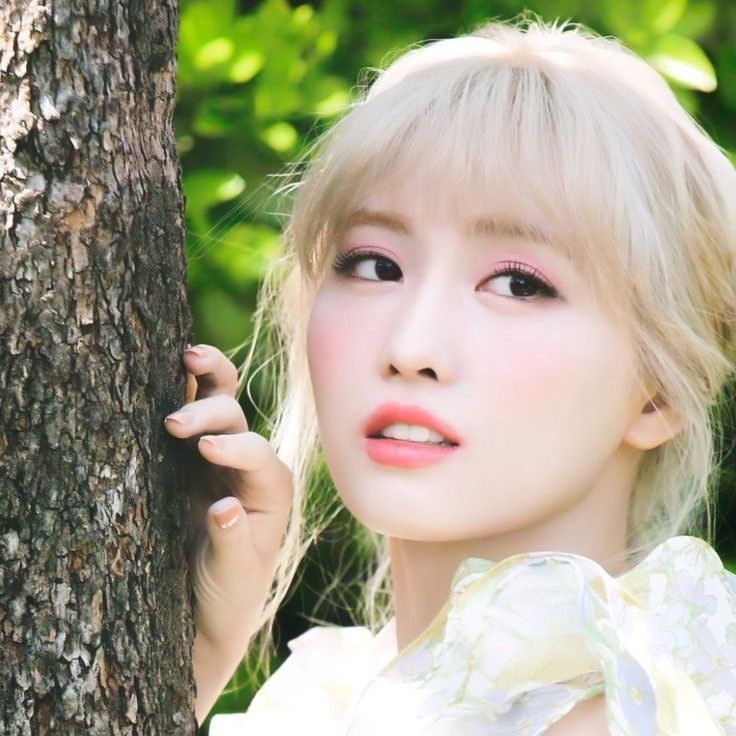 A moment captured by Momo (TWICE)'s fan