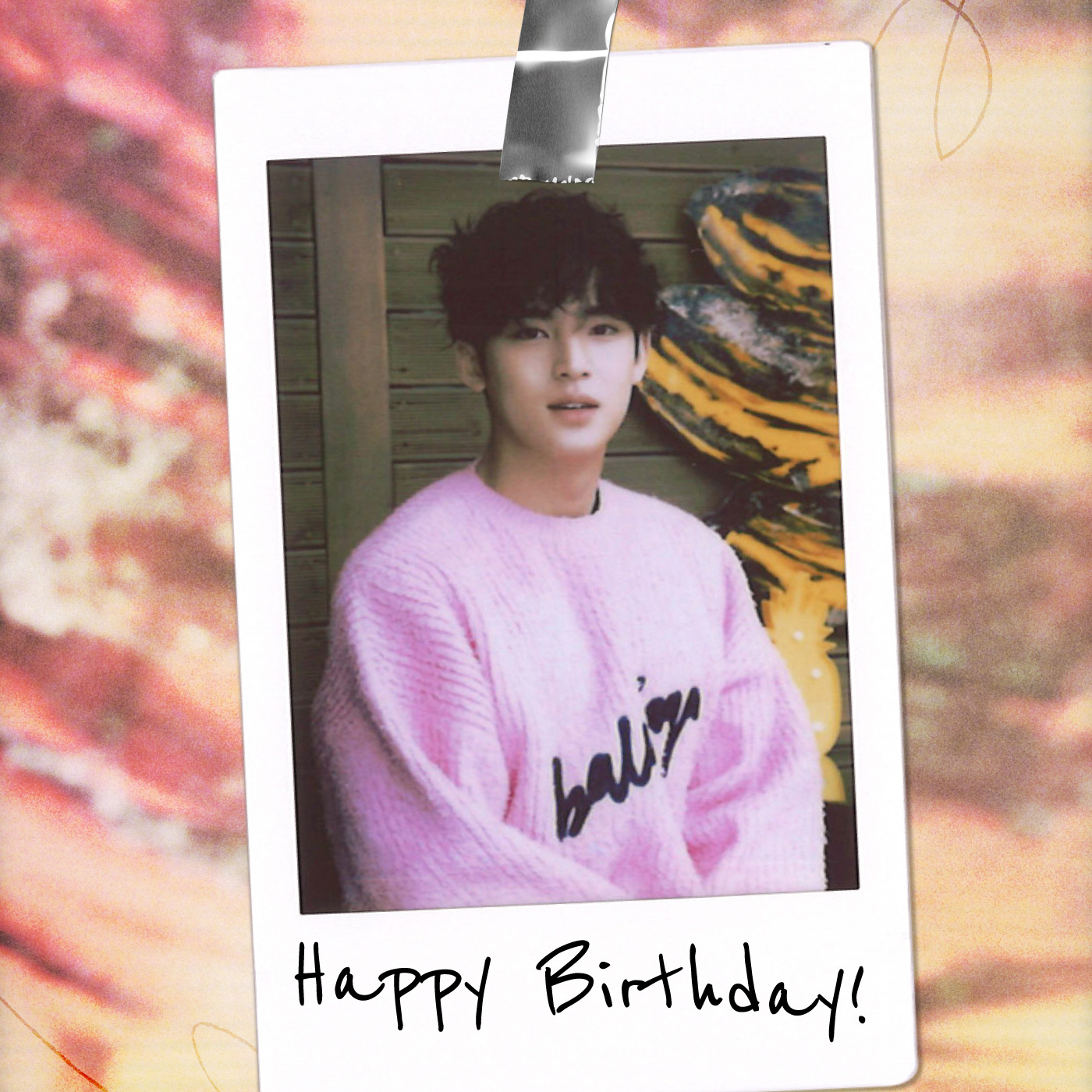 세븐틴 팬이 찍은 순간