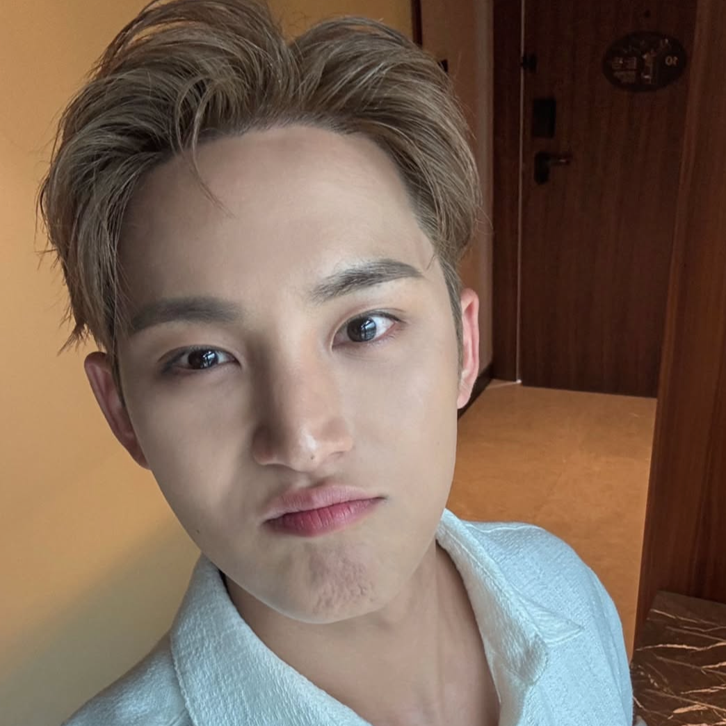 A moment captured by Mingyu (SEVENTEEN)'s fan