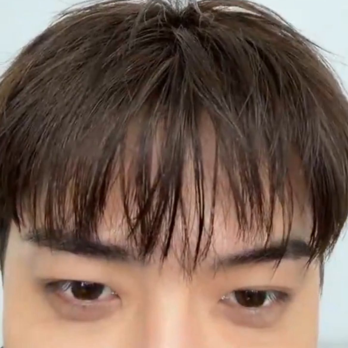 EXO粉丝拍下的瞬间