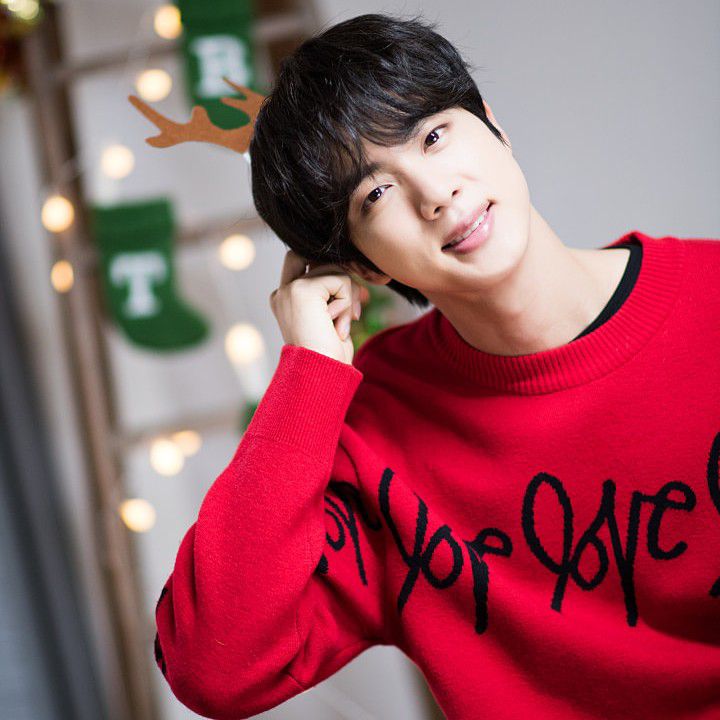 진 (방탄소년단) 팬이 찍은 순간