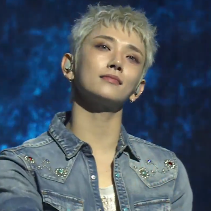 세븐틴 팬이 찍은 순간