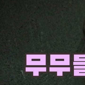 A moment captured by Wheein (MAMAMOO)'s fan