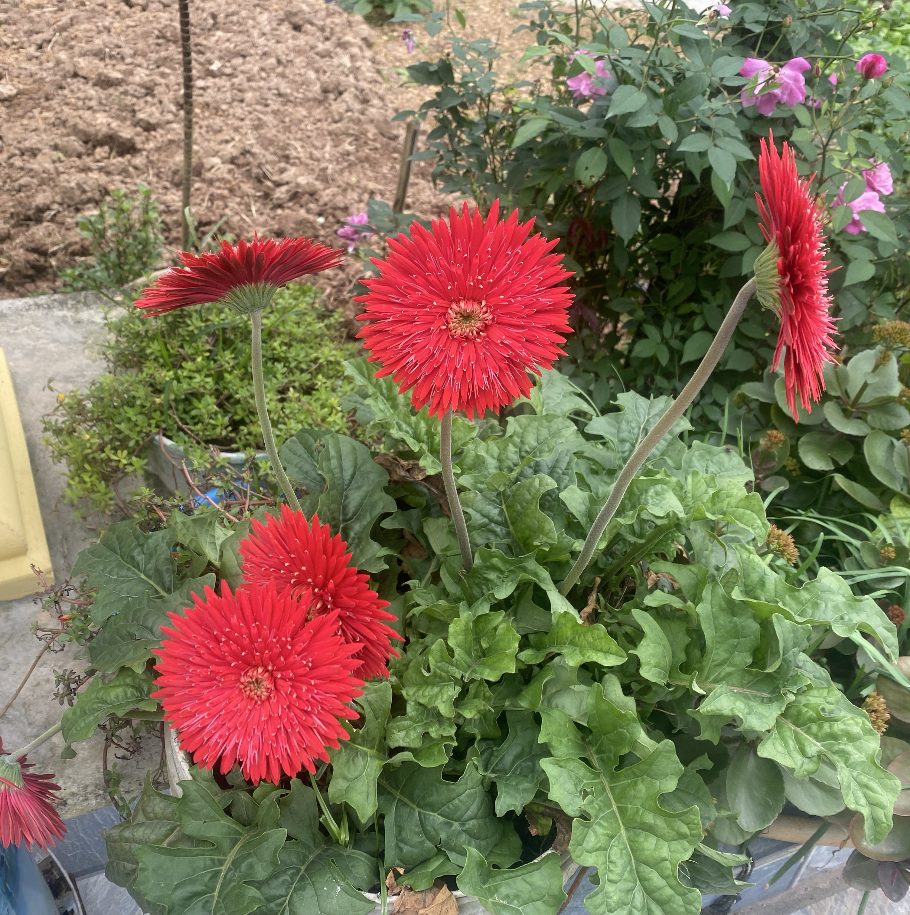 防彈少年團的幕後花絮