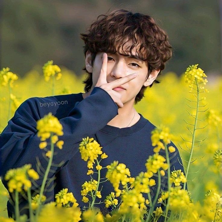 V (BTS)の最近の活動写真