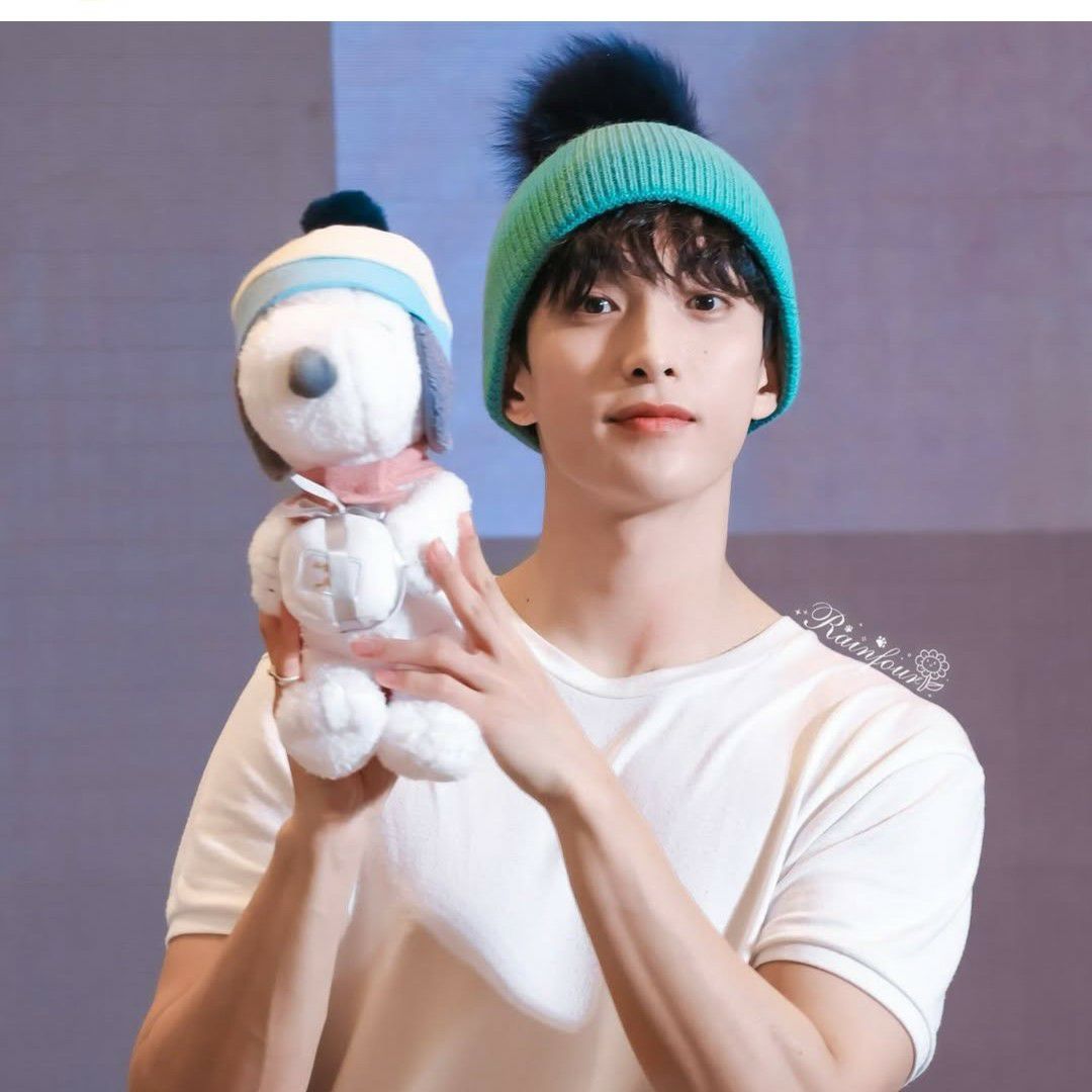 A moment captured by DK (SEVENTEEN)'s fan