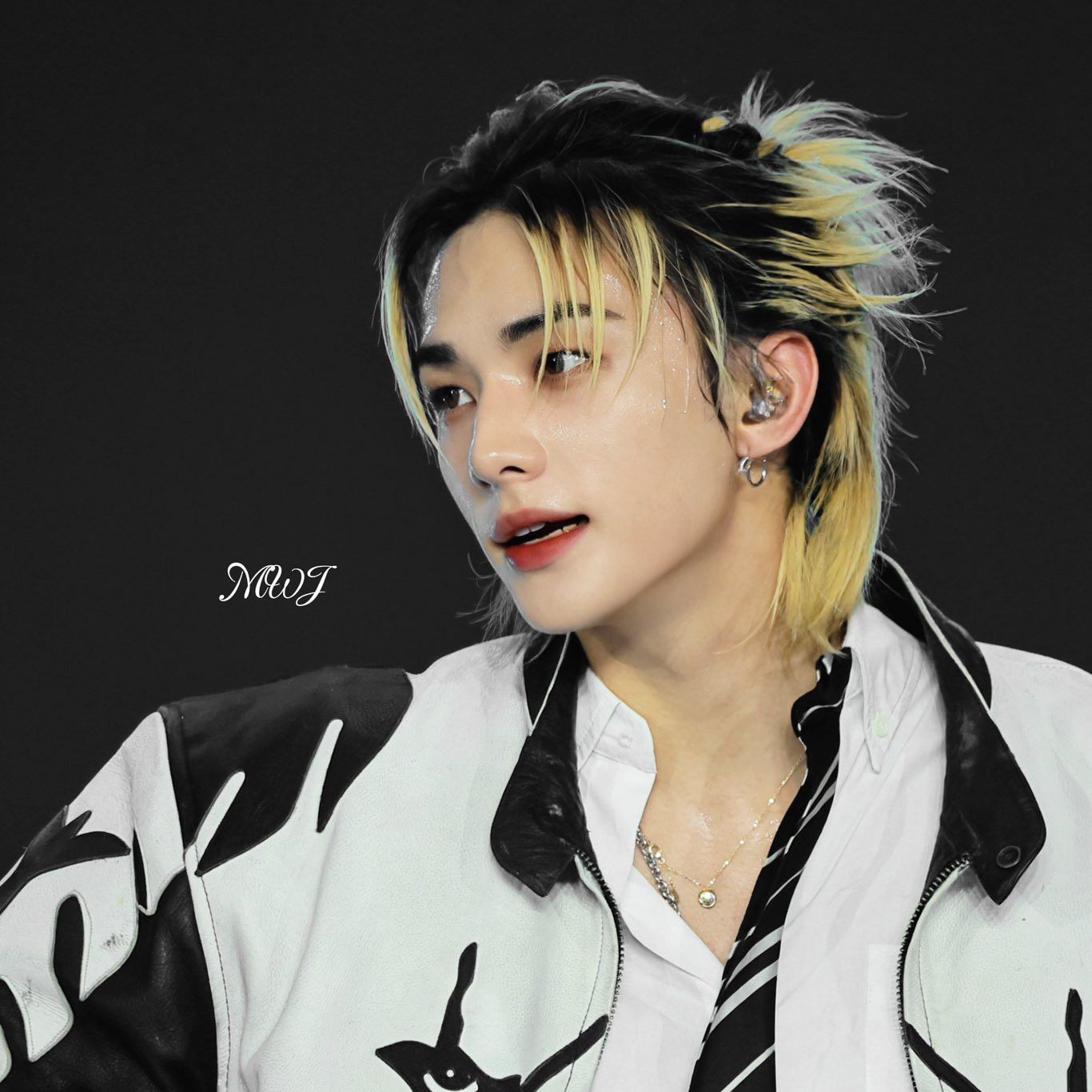 A moment captured by Hyunjin (Stray Kids)'s fan