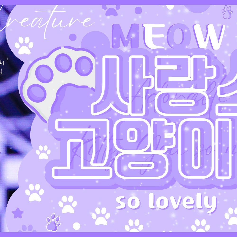 Latest photo of Sullyoon (NMIXX)